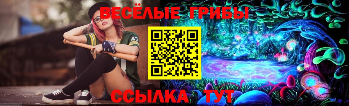 Железногорск  Галлюциногенные грибы ЛСД  Вход с VPN 