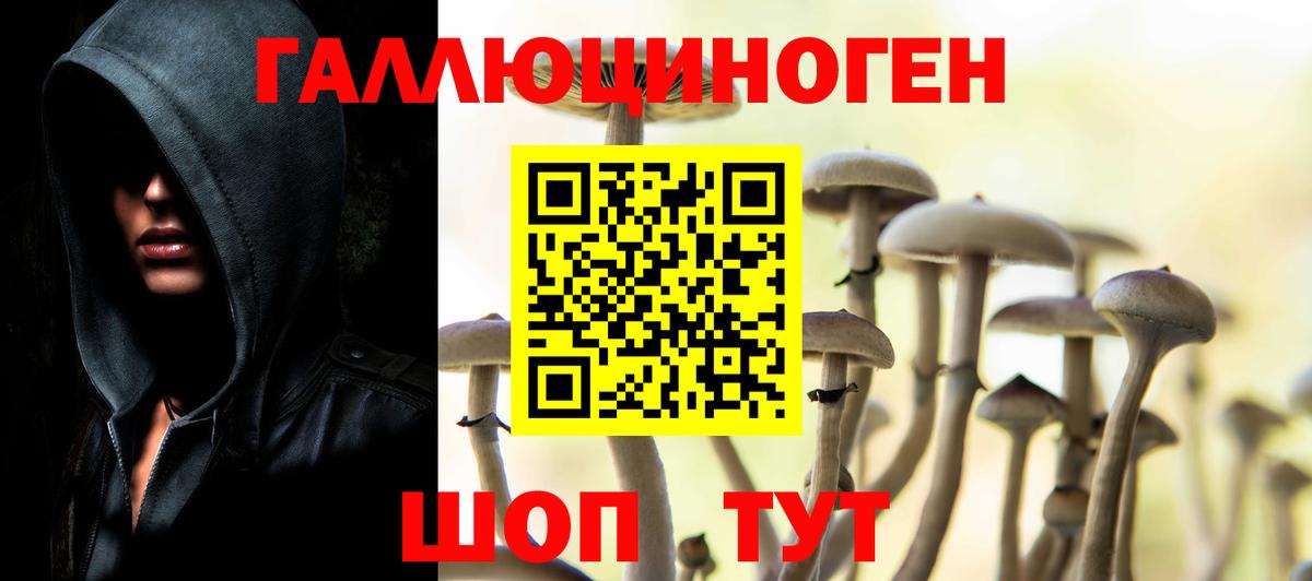 Галлюциногенные грибы MAGIC MUSHROOMS Железногорск